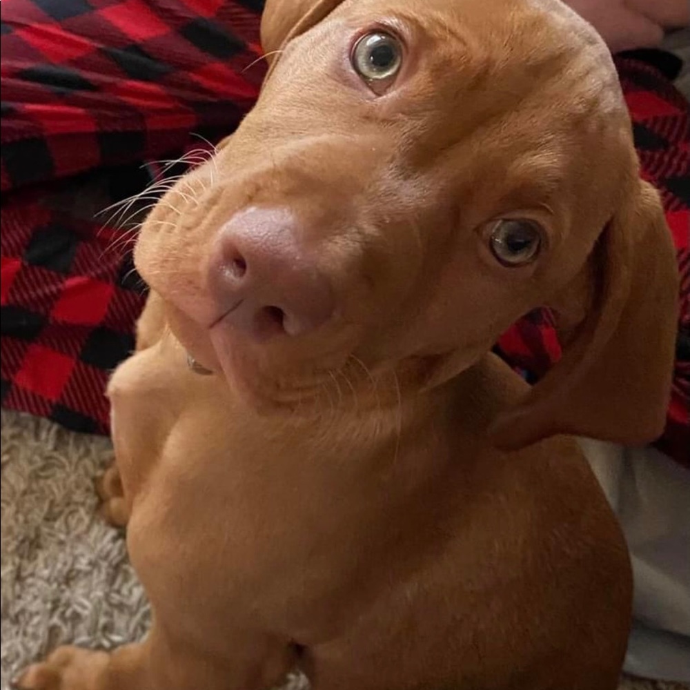 Meet your Posher, Christine